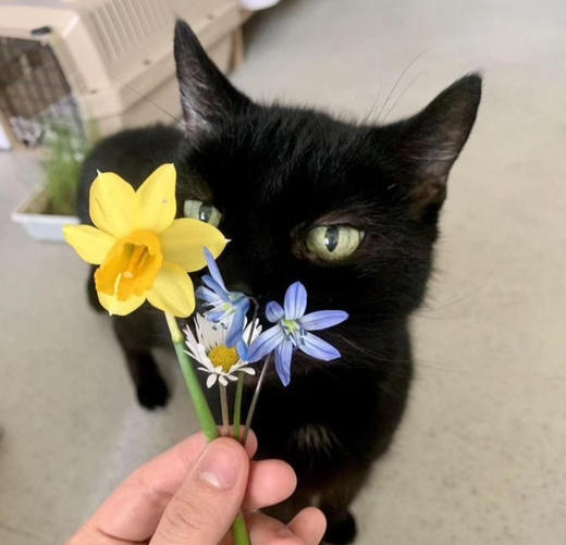 临时链接，jg×10 商品图0