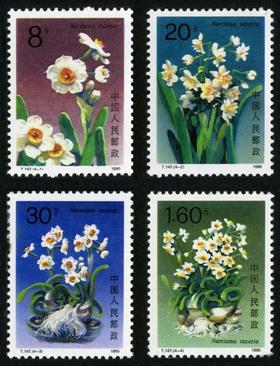 T147《水仙花》1990年