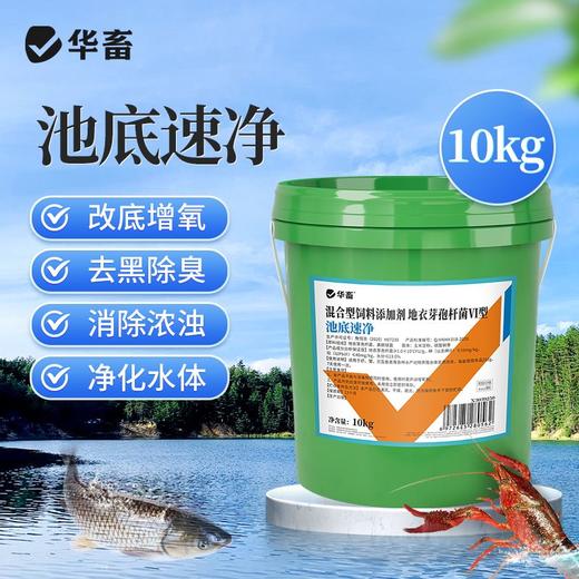 华畜池底速净黑泥克星鱼虾蟹池塘净化水质水产养殖分解淤泥底改净 商品图0