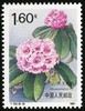 T162《杜鹃花》1981年 商品缩略图8