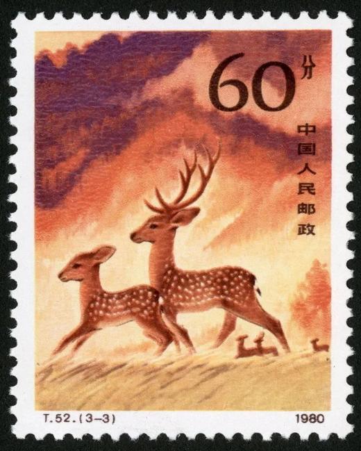 T52《梅花鹿》1980年 商品图3