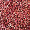 【食品】斑马豆肾形豆新货云南农家自种花芸豆红花豆子500克/袋 商品缩略图3