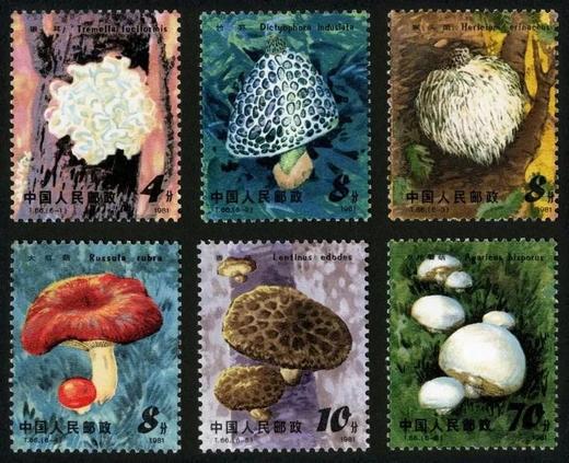 T66《食用菌》1981年 商品图0