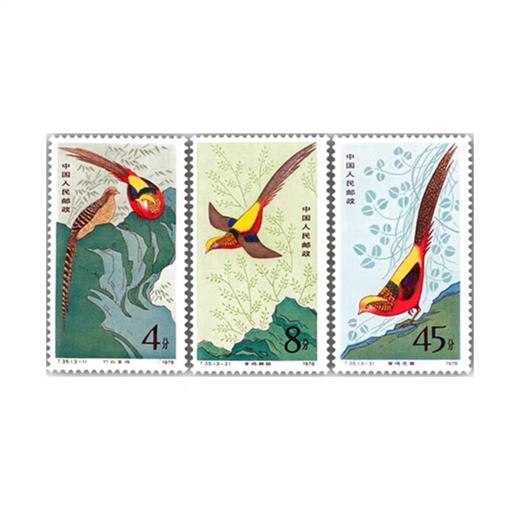 T35《金鸡》1979年 商品图0