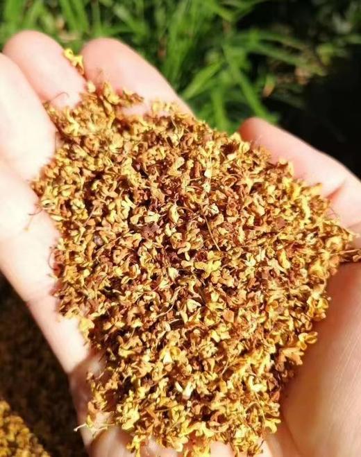 合作产品/野生干桂花 商品图2