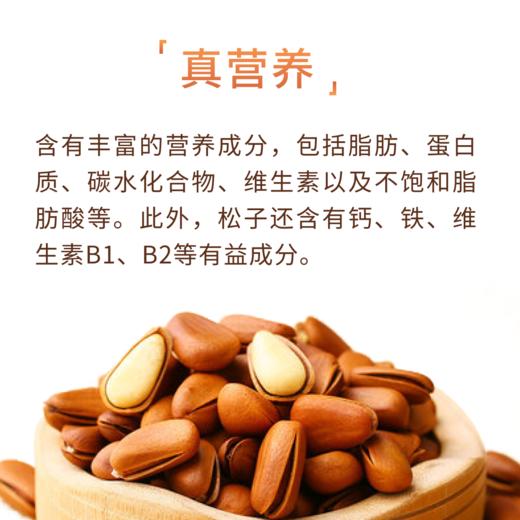 吉林延边敦化山谷留开口松子300g/罐 商品图4