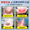 百年扁氏藏关宁腰椎贴 商品缩略图1