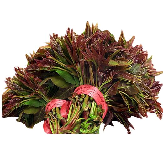 山阳秦岭香椿现摘现发1/3斤顺丰冷链/京东生鲜 商品图1