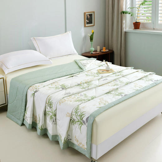 【多样屋专柜】雅鹿抑菌全棉印花夏被--米漾/200*230CM 商品图2