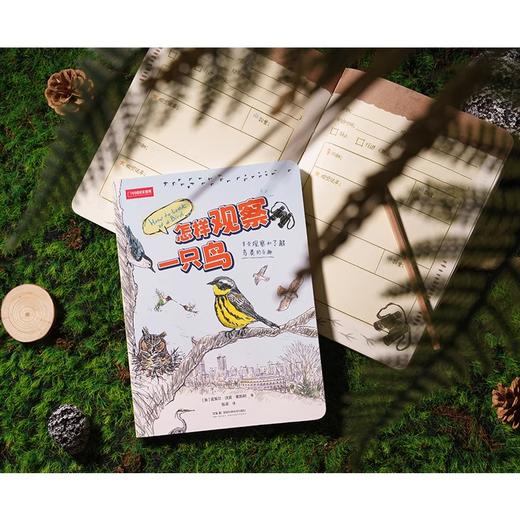 怎样观察一只鸟 克莱尔·沃克·莱斯利新作鸟类观察科普读物 商品图3