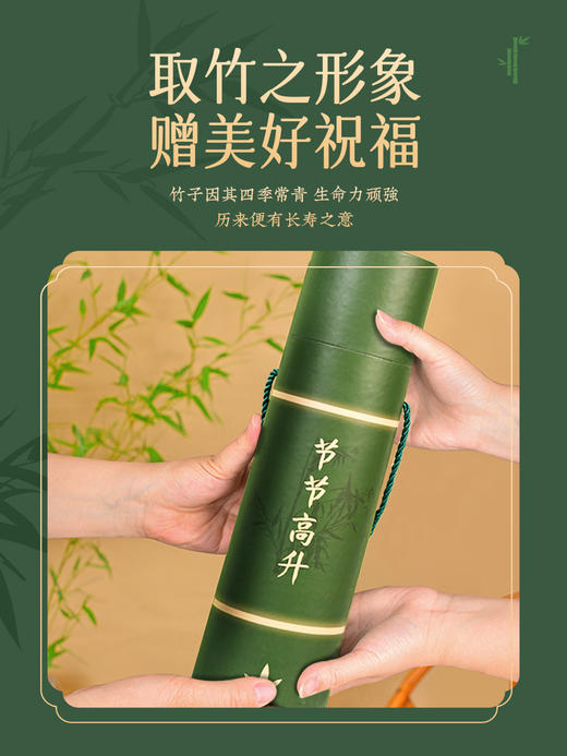 赠送礼盒母亲节礼物【养生敲打！哪里不适拍打哪里】艾草按摩养生锤绿色竹叶节节高升艾草锤养生锤经络敲打按摩锤拍八虚缎面艾草填充家用神器。ry 商品图1