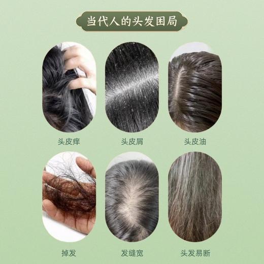 纯中药洗发水、固发草本无硅油植物中药洗发液 | 无月桂醇，温和滋养，「蓬」然新生 商品图3