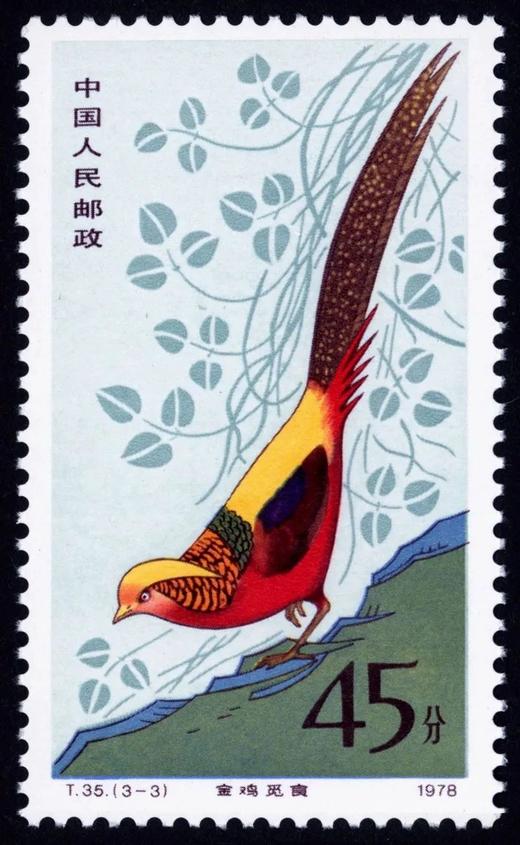 T35《金鸡》1979年 商品图3