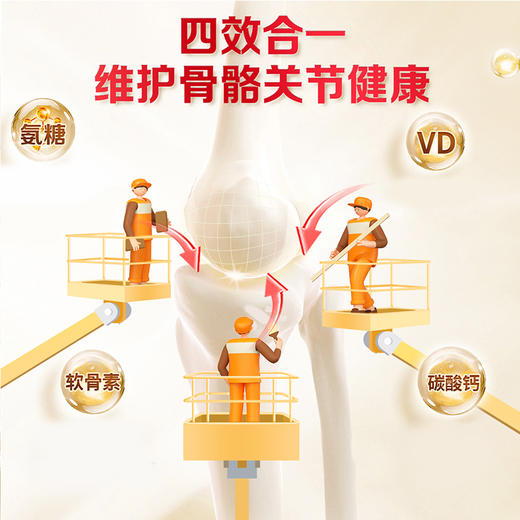 哈药盖中盖氨糖软骨素钙片 商品图6