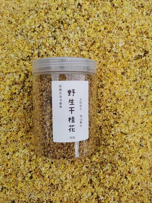 合作产品/野生干桂花 商品图0