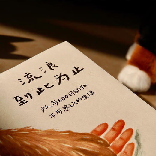 流浪到此为止：我与600只动物不可思议的生活（美）劳丽·扎列斯基 著 家暴中脱逃的母亲 拯救动物 被动物拯救 治愈故事 世界破破烂烂 小动物缝缝补补 女性 励志 成长 动物救助 猫 狗 生命 平等 商品图3