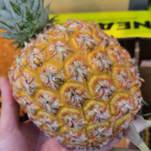 【真的很甜】 芒果凤梨  果肉蜜甜多汁，个大肉厚、香味十足，可以像切西瓜一样切着吃 9甜1酸  近乎纯甜 商品图3