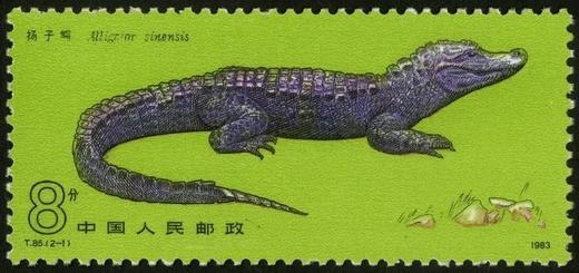 T85《扬子鳄》1983年 商品图1