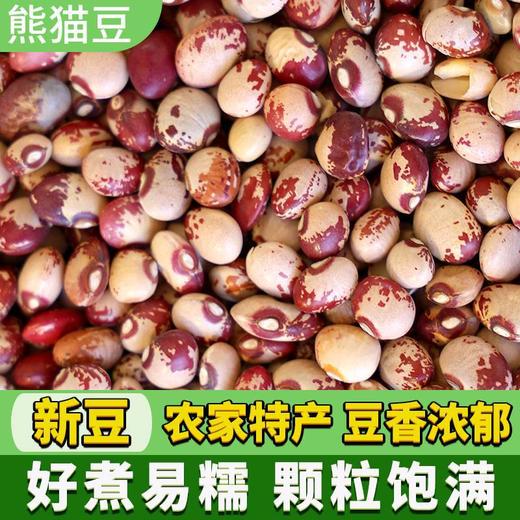 【香糯可口❗精选熊猫豆】源自云南大山深处，粒粒精选圆润饱满，熊猫豆云南花饭豆，花豆子煮粥煲汤打豆浆的豆子五谷杂L 商品图2
