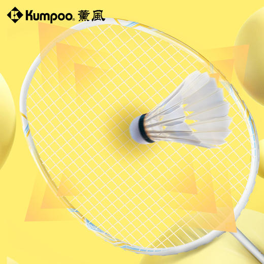 薰风新款羽毛球拍碳素纤维耐打娱乐双拍超轻高弹力儿童款对拍2支装 商品图3