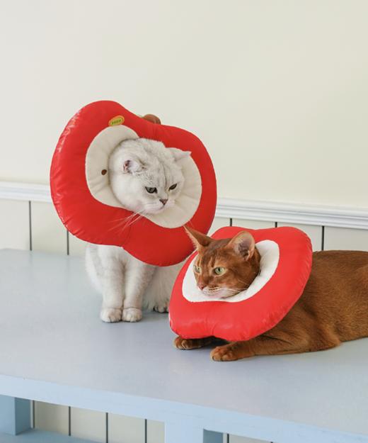 zeze伊丽莎白圈脖圈头套 商品图1