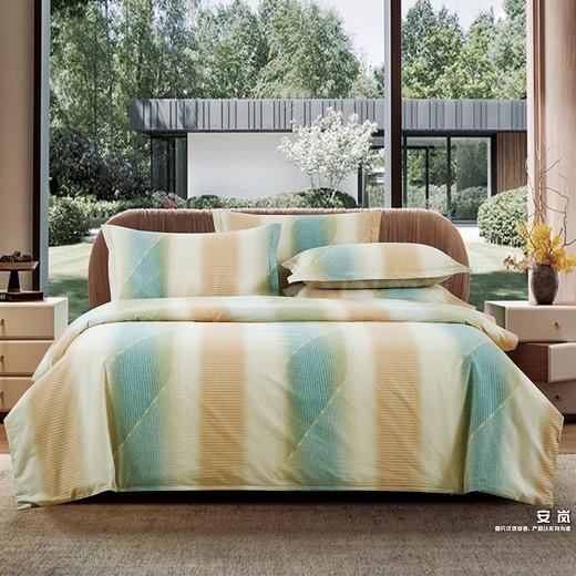 鑫缘 全棉印花四件套 DMJ1418 商品图0