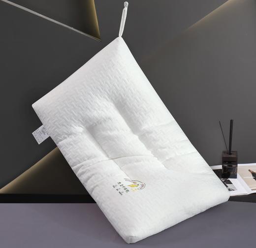 【多样屋专柜】雅鹿大豆纤维抗菌枕白色 46*72 商品图3