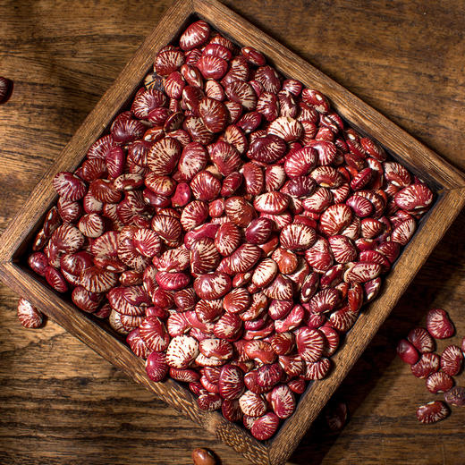 【食品】斑马豆肾形豆新货云南农家自种花芸豆红花豆子500克/袋 商品图2