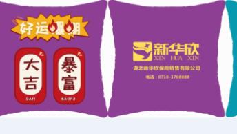 新华欣炫酷抱枕 商品图4