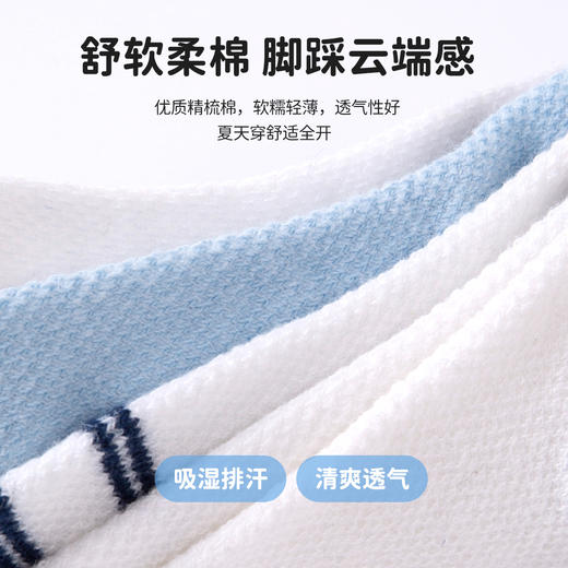 贝贝怡【5双装恐龙汽车网眼袜】春夏新款男童中筒袜透气舒适中大童袜子ZB2EP001 商品图6