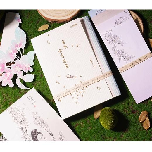 自然会有答案 灵儿姐姐林语尘传统文化中式美学手绘博物散文随笔 商品图1
