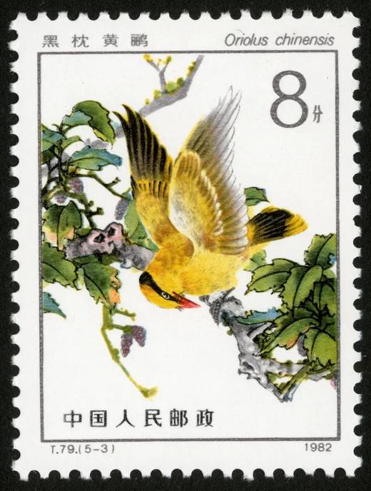 T79《益鸟》1982年 商品图3