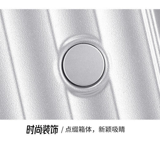 【多样屋专柜】形象派大容量实用拉杆箱便携行李箱20寸银色 商品图5