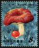 T66《食用菌》1981年 商品缩略图4