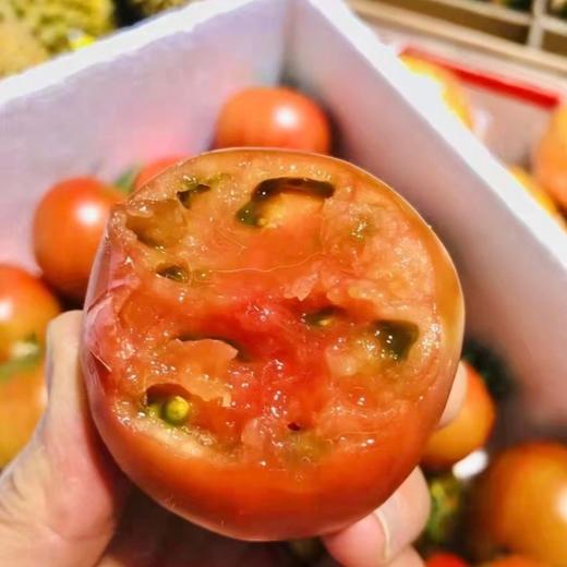 【京东快递】京彩高糖番茄 西红柿极品 春日新宠 现摘现发 每日新鲜 - ANXNY 商品图4