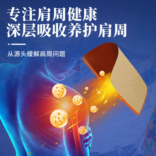 百年扁氏藏关宁肩周贴 商品图2