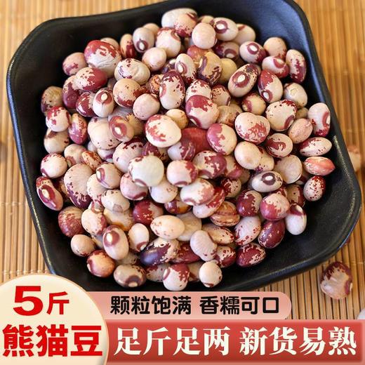 【香糯可口❗精选熊猫豆】源自云南大山深处，粒粒精选圆润饱满，熊猫豆云南花饭豆，花豆子煮粥煲汤打豆浆的豆子五谷杂L 商品图0