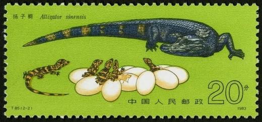 T85《扬子鳄》1983年 商品图2
