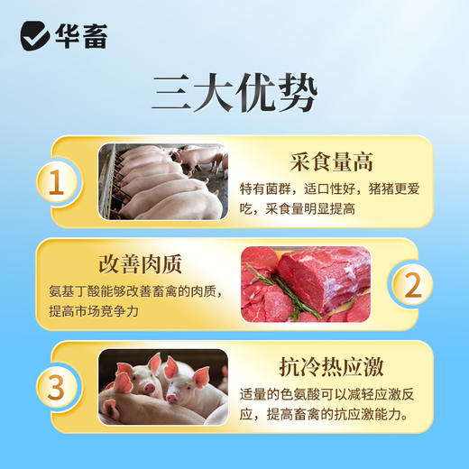 华畜4%生长育肥猪预混料猪肽能长仔猪饲料小猪生长猪催肥育肥饲料 商品图5