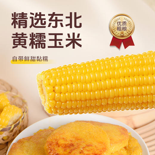 [甄选]拾沃 香煎玉米浆包 纯玉米粒磨浆 低脂早餐 1080g/袋（90g*12个） 商品图1