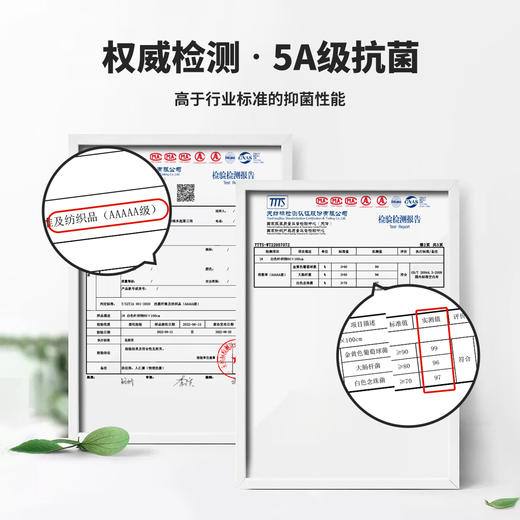 贝贝怡儿童内裤4件装ZB5EP012 商品图8