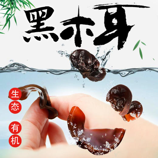 【有机黑木耳】自然孕育 清新脆爽 味道鲜美 高泡发率！ 商品图2