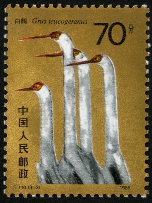 T110《白鹤》1986年 商品图3
