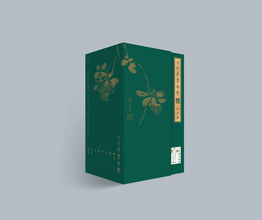 十竹斋书画谱（全16册） [明]胡正言  著  最古老的中国画谱，国画必读 商品图0
