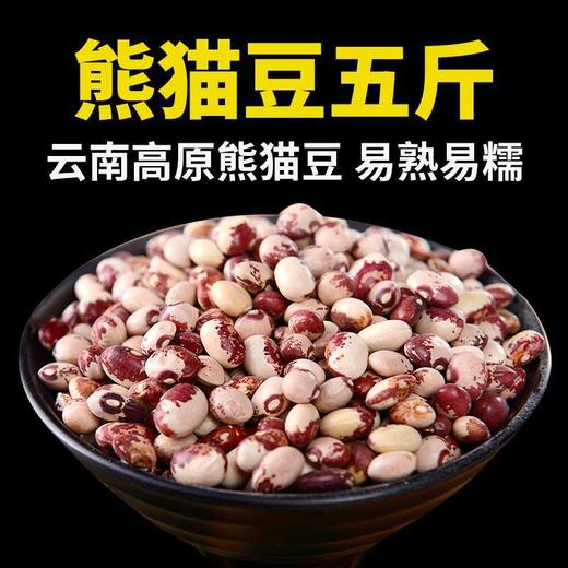 【香糯可口❗精选熊猫豆】源自云南大山深处，粒粒精选圆润饱满，熊猫豆云南花饭豆，花豆子煮粥煲汤打豆浆的豆子五谷杂L 商品图3