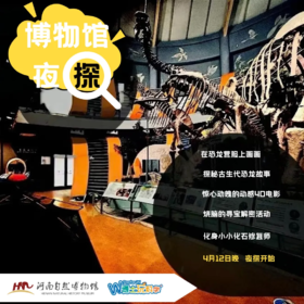【河南自博-研学】博物挂夜探