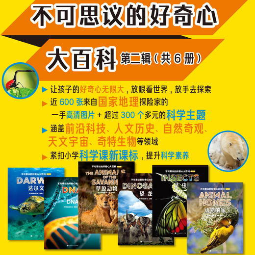 不可思议的好奇心大百科 第一辑+第二辑 共12册 商品图7