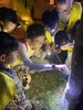 5.23/5.30❗️【夜场夜探】虫虫特工队昆虫探索，了解不同昆虫生活习性，观察、寻找、采集昆虫标本！5岁以上可亲子，可单飞 商品缩略图7