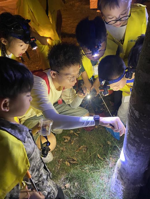 5.23/5.30❗️【夜场夜探】虫虫特工队昆虫探索，了解不同昆虫生活习性，观察、寻找、采集昆虫标本！5岁以上可亲子，可单飞 商品图7