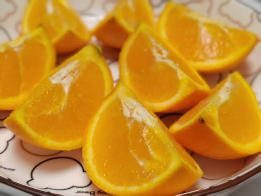 【健康养生快乐生活系列】九蒸九晒小黄姜粉（手作） 商品图0